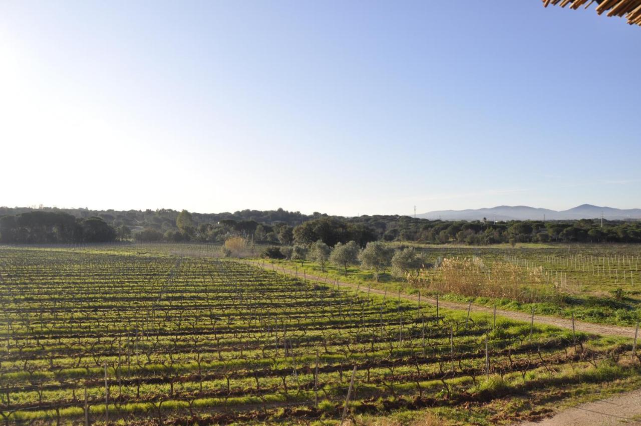 Le Gite Des Cinq Cepages Frejus Exterior photo